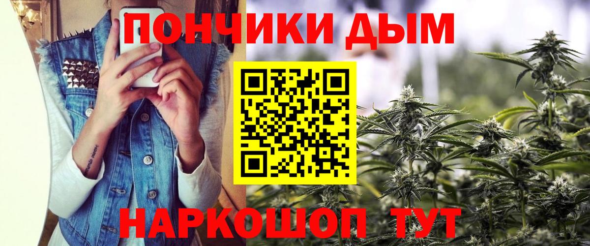Бошки Шишки план Ярославль